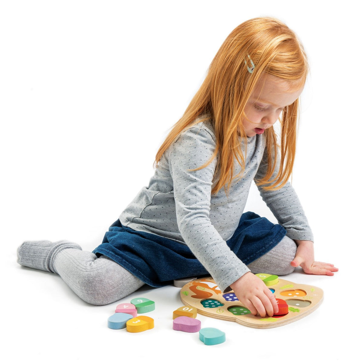 How Many Acorns? – Tender Leaf Toys Canada