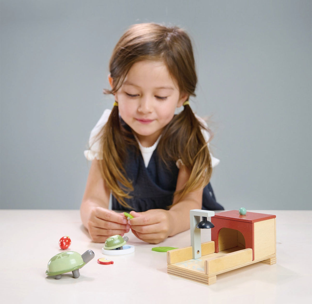 Tortoise Set Tortoise Pet Set – Tender Leaf Toys Canada